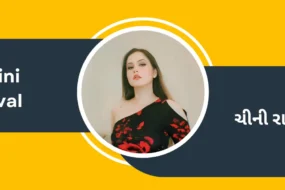 Chini Raval featuring her portrait in a floral black dress against a modern yellow and charcoal gray background with text in English and Gujarati.
